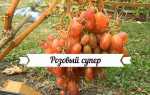 Виноград Розовый супер: описание сорта, выращивание, отзывы садоводов