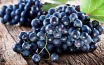 Виноград Кишмиш черный: описание сорта, выращивание, отзывы садоводов